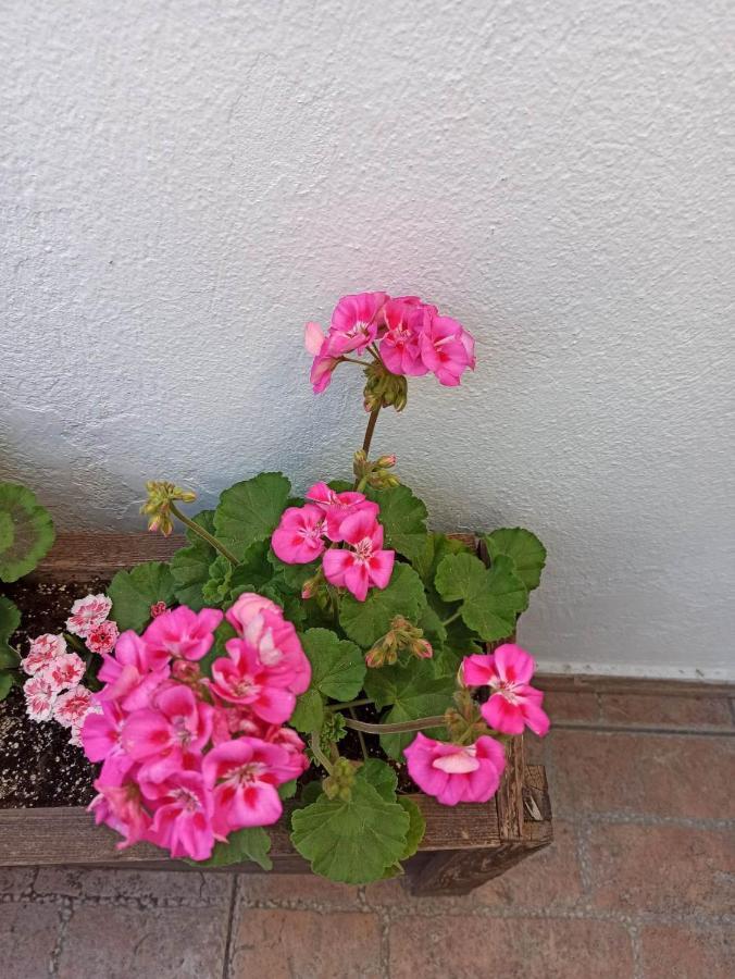 Vasiliki Apartamento Tessalónica Exterior foto